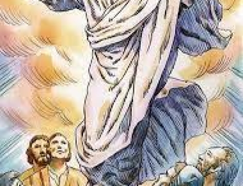 Santa Messa, meditazione domenicale Ascensione del Signore
